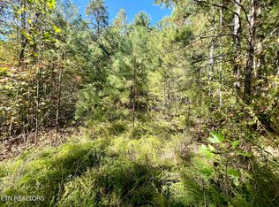 PARCEL 20 Creek Hollow Way, Sevierville, TN 37876