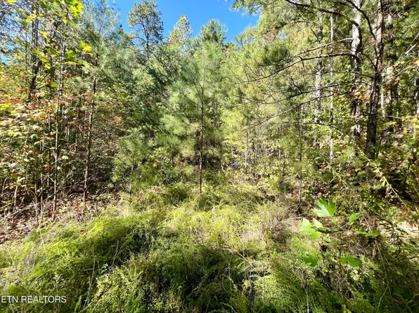 PARCEL 20 Creek Hollow Way, Sevierville, TN 37876