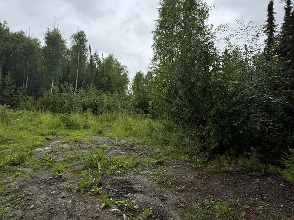 Nhn Lot 12, Houston, AK 99694