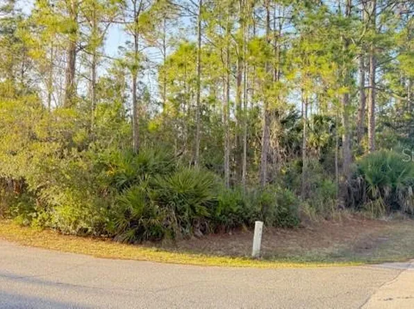 102 Randolph Dr Lot 50, Palm Coast, FL 32164