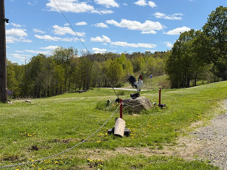 Quarterline Rd — Photo 33