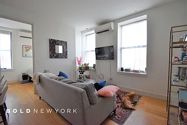 Rented by Bold New York