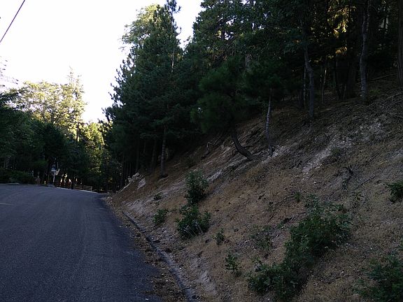 Lower view from Grizzly Rd 2