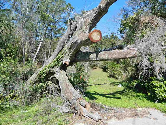 3rd image of 4518 Mahan Dr
