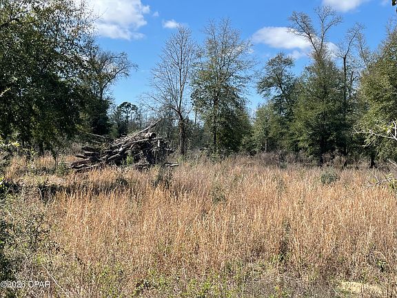 5th image of 0 Speights Way