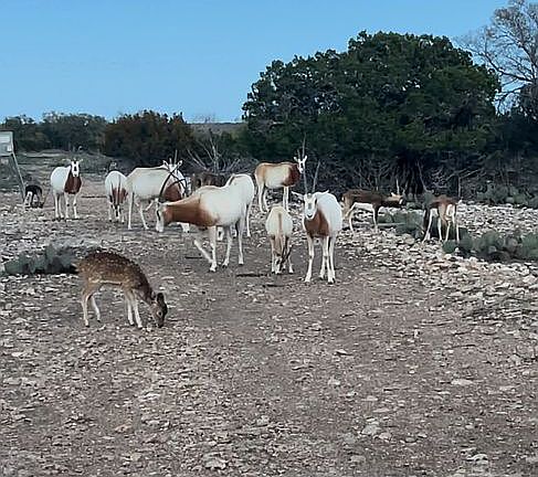 4th image of 0 Sutton County Rd #317