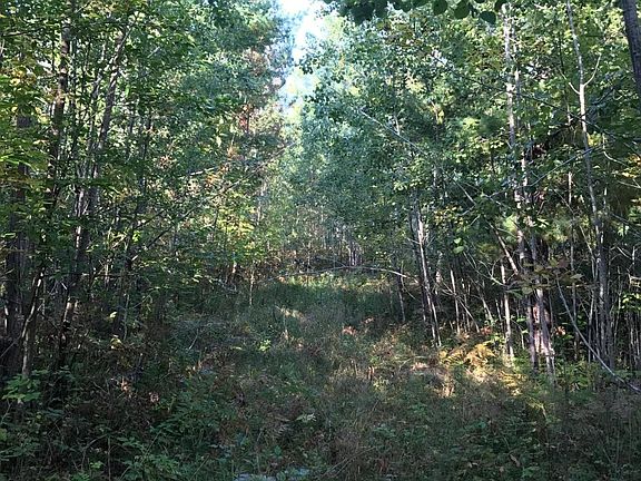 3rd image of 3464 Kimberlin Road 20 Acre