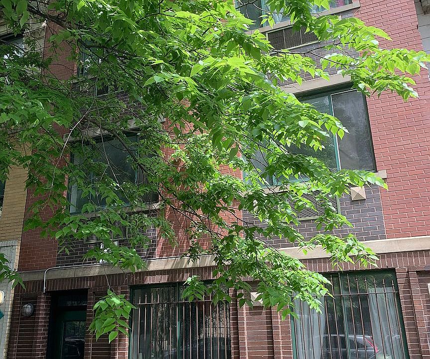 1st image of 60 E 1st St #1B