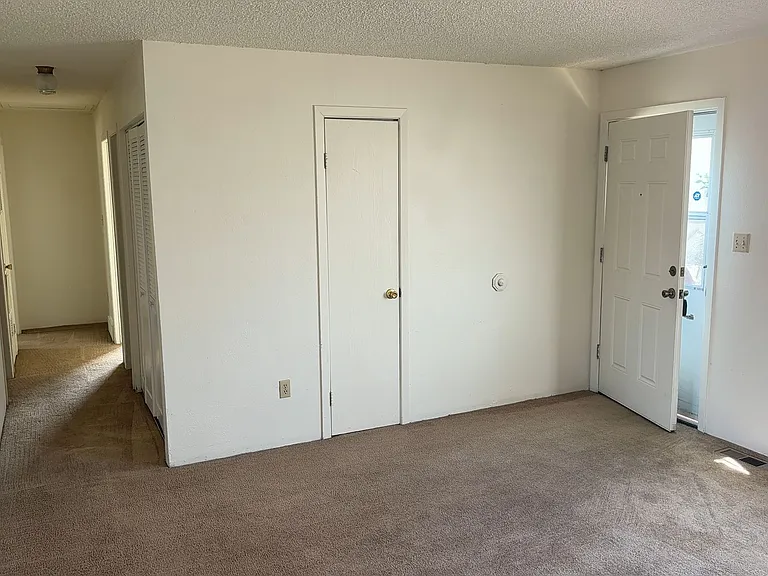 4988 Ivor Dr — Photo 11