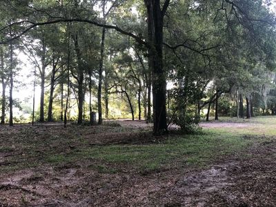 479 Light Wood Pl SW, Fort White, FL, 32038