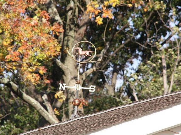 Copper Weather Vane