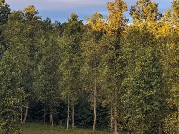 199 Blackberry Hill Ln, Walhalla, SC 29691