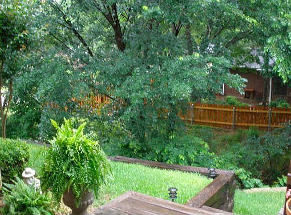3rd image of 4401 Grey Dawn Dr