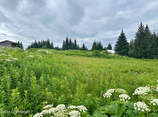 64675 Leandra Rd, Homer, AK 99603