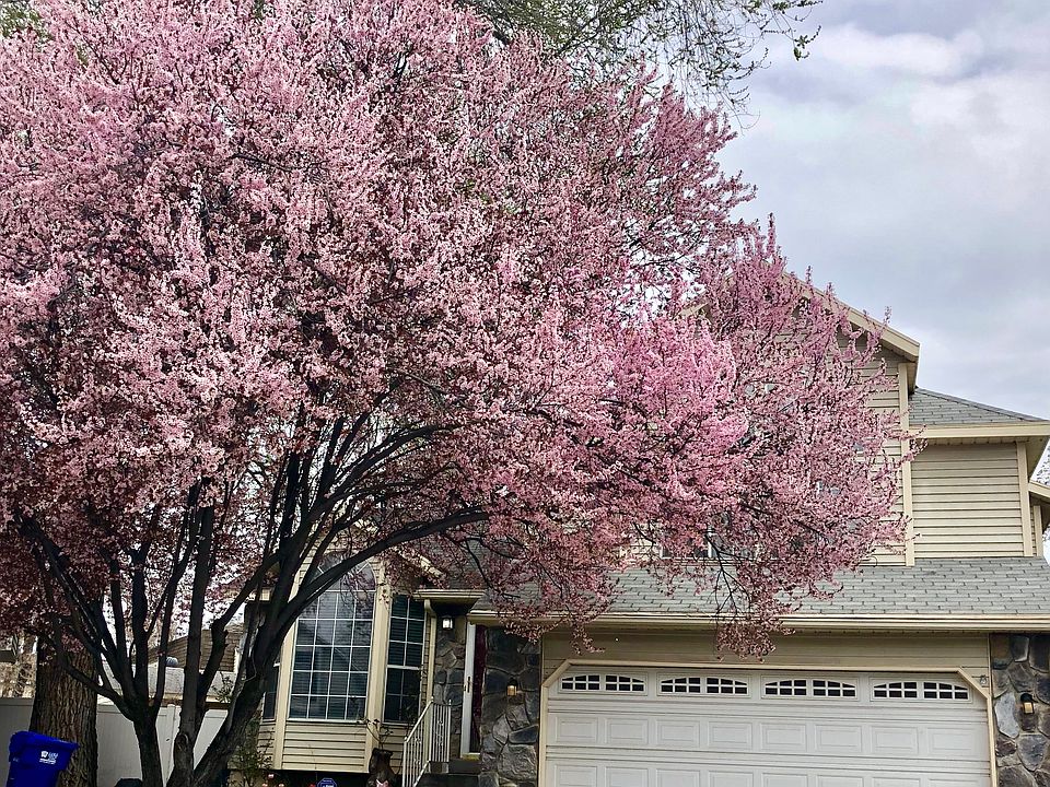 2nd image of 3143 S Park Ct