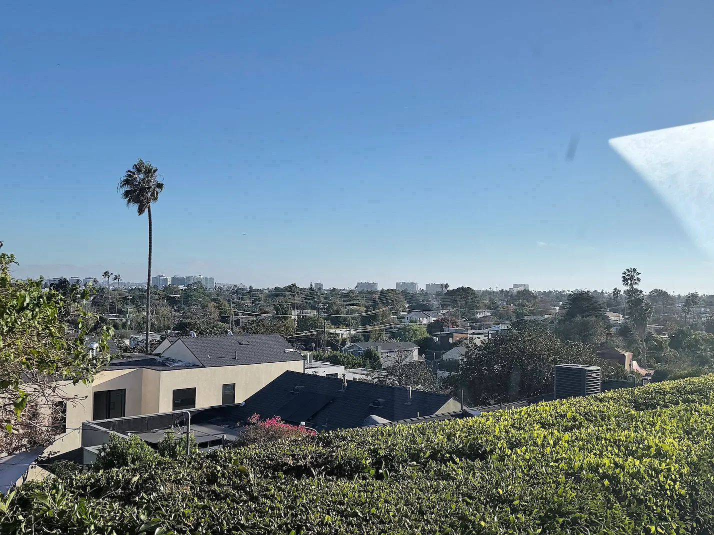 2 bed, 1000 sqft, $3,695 — Photo 2