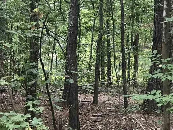 Lakeside Ln #19, Alpine, AL 35014