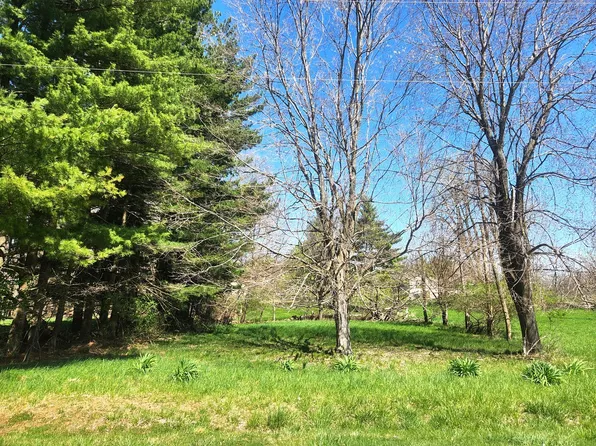 LOT 314/315 Elm Tree Dr, Varna, IL 61375