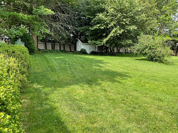 back yard