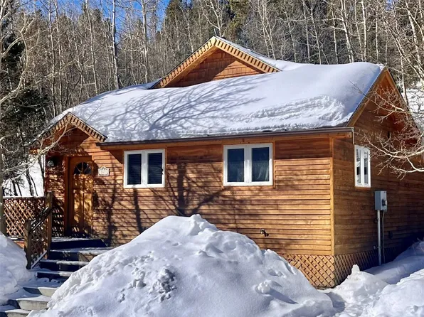 143 N Oak Street, Alma, CO 80420