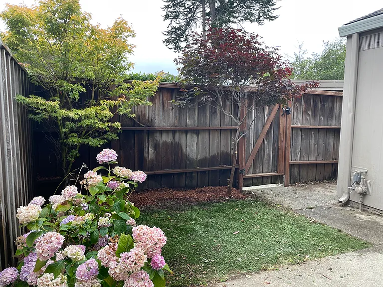 1281 Rosita Rd — Photo 10