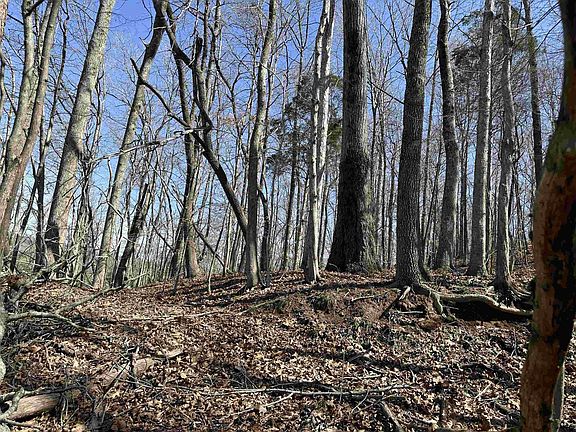 3rd image of 0 Poplar Springs Rd