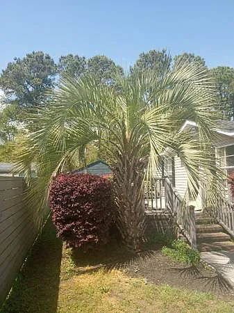 881 Whaler Pl — Photo 12