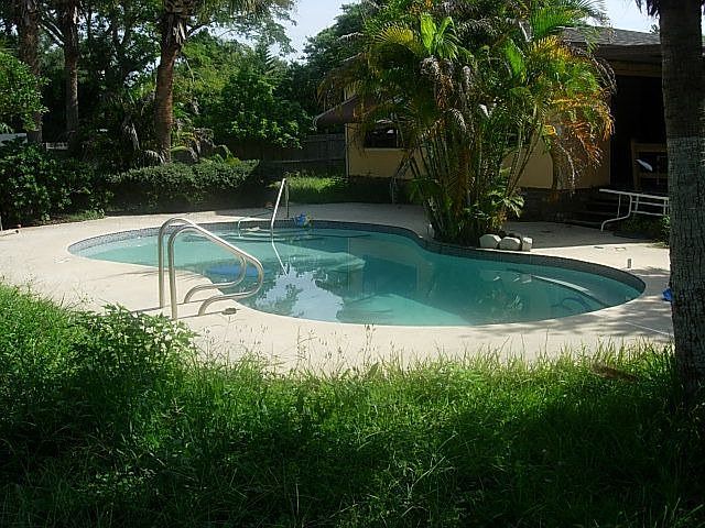 Backyard pool