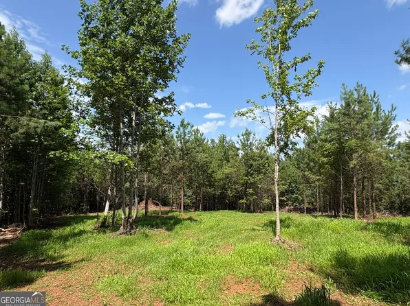 Carlisle Gap Rd, Woodland, GA 31836