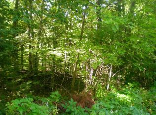 ON W Wheeler Lake Rd, Lakewood, WI 54138