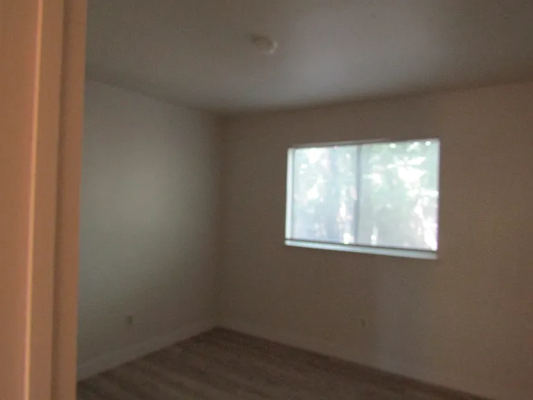 445 Jefferson Ave #11 — Photo 13