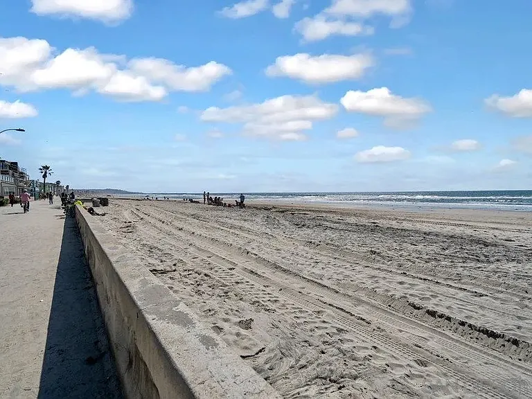 3911 Ocean Front Walk — Photo 20