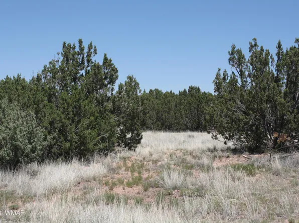 8494 Basalt Pl, Show Low, AZ 85901