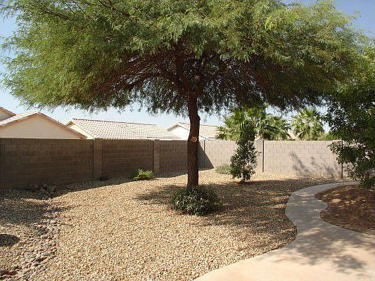 Backyard with walkway