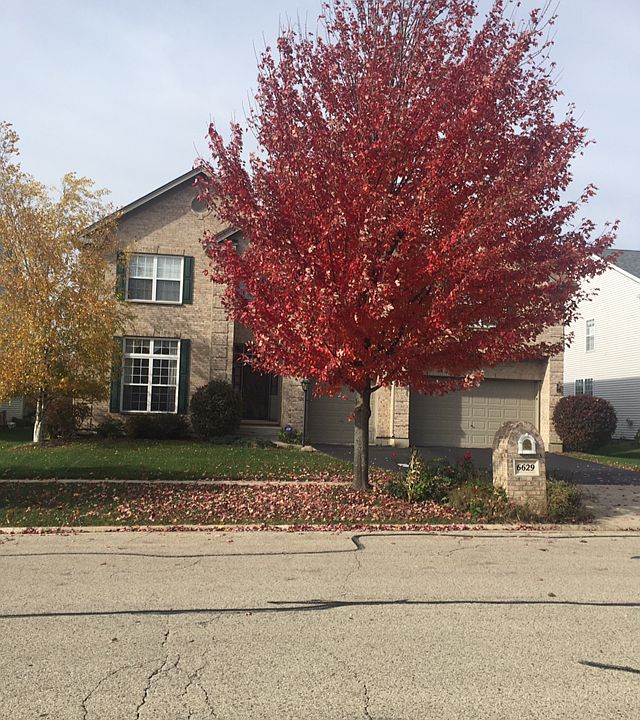 Executive Home