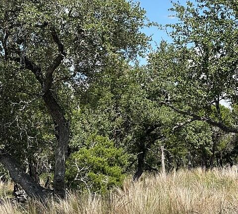 5th image of 0 Cool Creek Rd