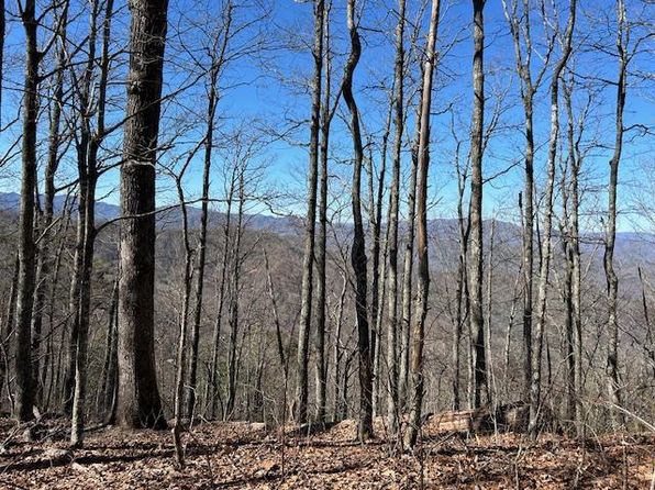 0 Battle Branch, Bryson City, NC 28713