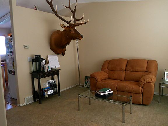 Formal Living Room