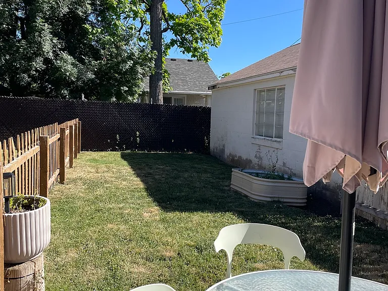 Back yard