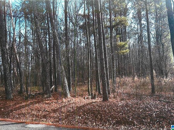 3rd image of 0 Walkers Crossing Rd #0