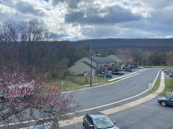 41 Petersburg Ln, Duncannon, PA 17020