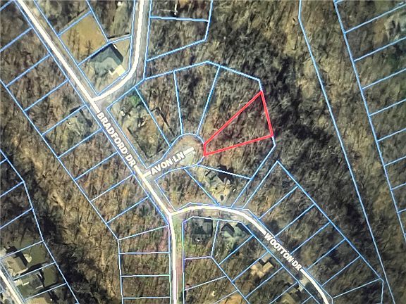 4th image of 5 Avon Ln #5