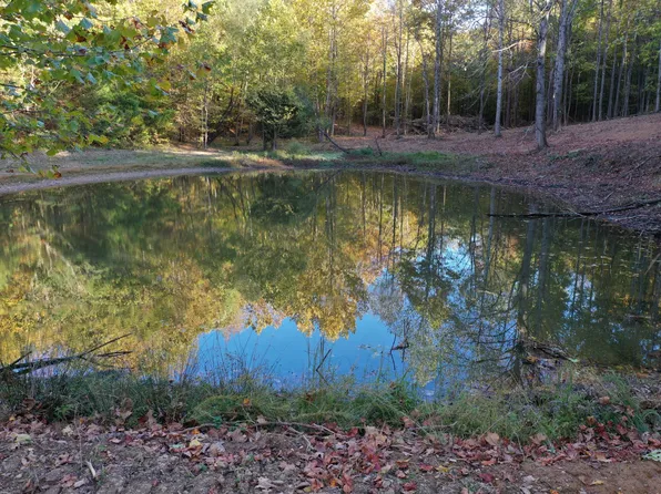 3846 Culps Bend Rd, Clifton, TN 38425
