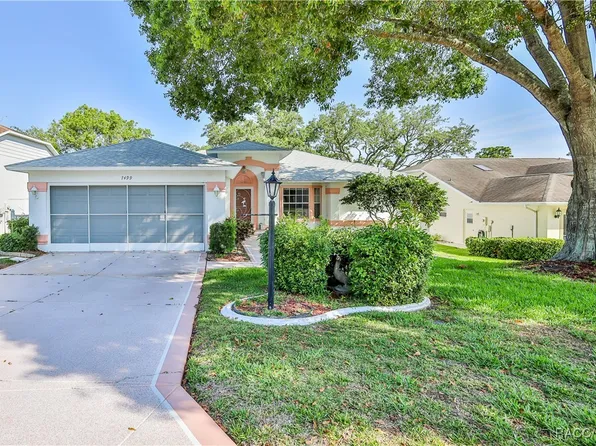 7499 Blue Skies Dr, Spring Hill, FL 34606