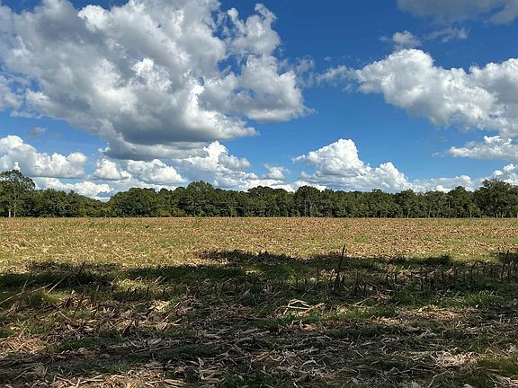 4th image of 545 Shady Grove Rd