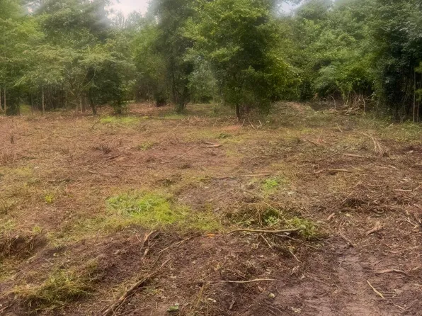 1 Abandon Ln, Summerville, SC 29486