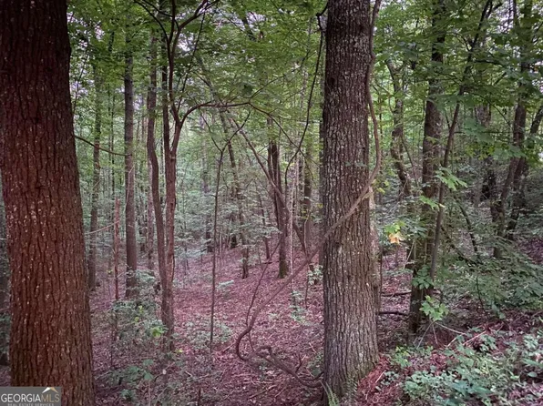 0 Whitecliff Dr, Ellijay, GA 30540
