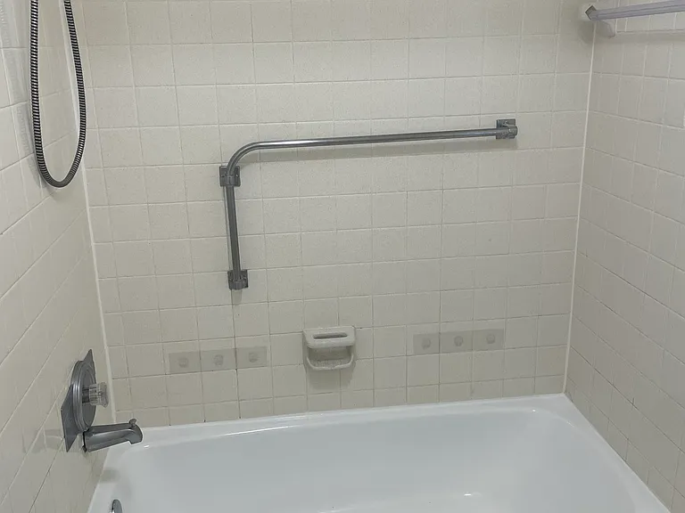 Guest shower