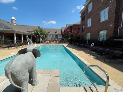 1901 5th Ave E UNIT 1113, Tuscaloosa, AL, 35401