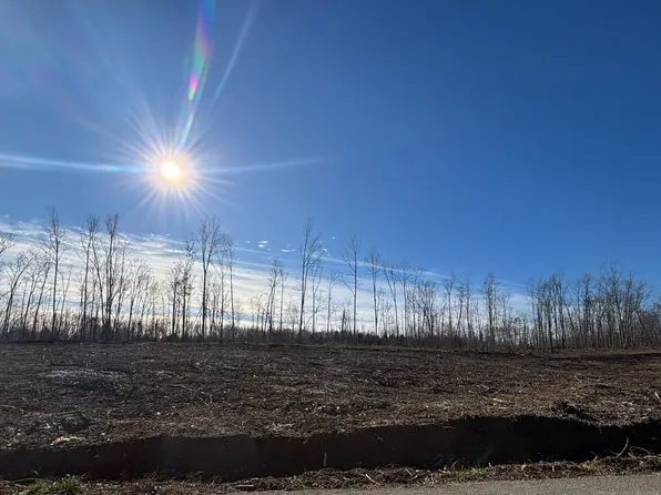 0 Brinkley Rd Lot 5, Wartrace, TN 37183